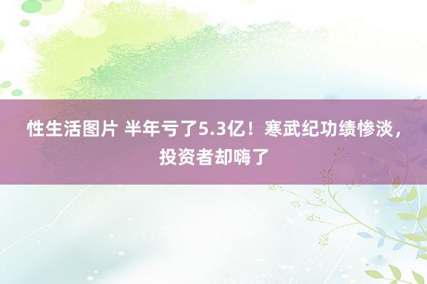 性生活图片 半年亏了5.3亿！寒武纪功绩惨淡，投资者却嗨了