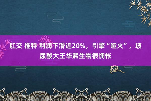 肛交 推特 利润下滑近20%，引擎“哑火”，玻尿酸大王华熙生物很惆怅